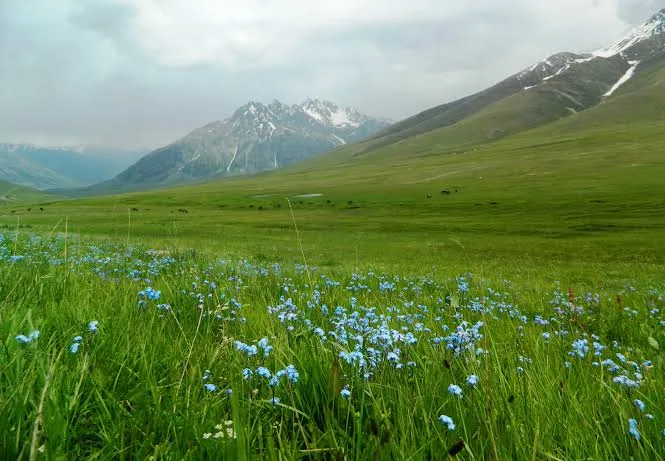 Deosai Plains tourism Pakistan