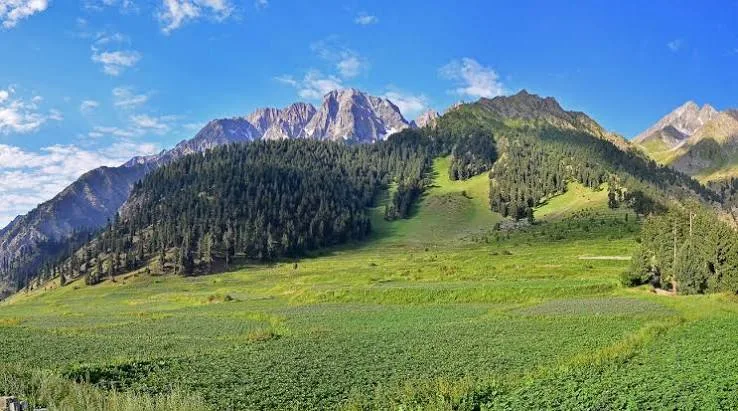 Naltar Valley tourism Pakistan